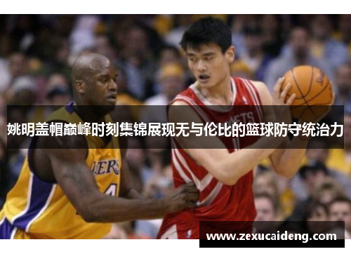 姚明盖帽巅峰时刻集锦展现无与伦比的篮球防守统治力