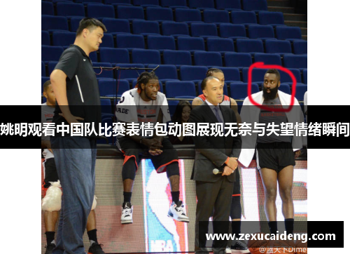 姚明观看中国队比赛表情包动图展现无奈与失望情绪瞬间