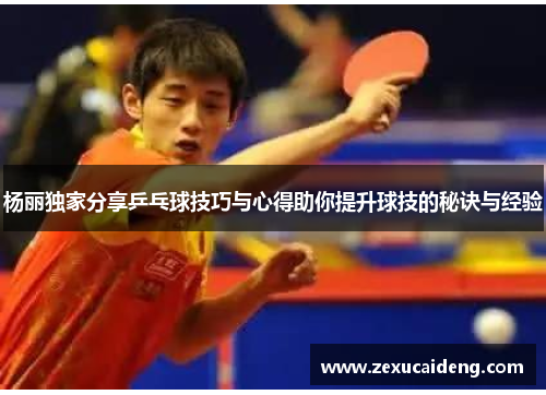 杨丽独家分享乒乓球技巧与心得助你提升球技的秘诀与经验